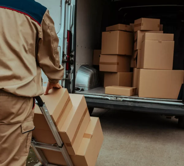 Professional Movers and Packers- 0000000
