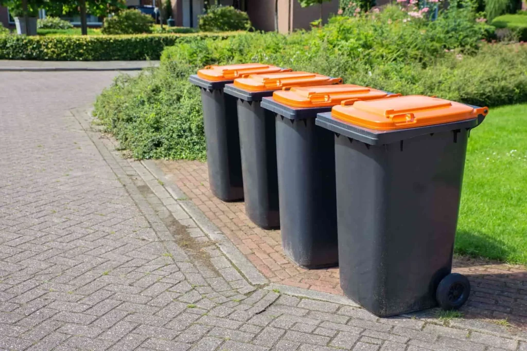 Skip Bin services
