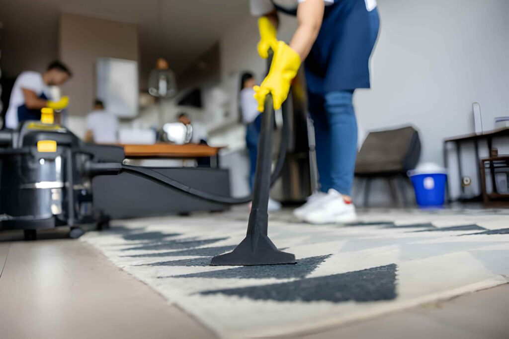 Domestic Cleaning